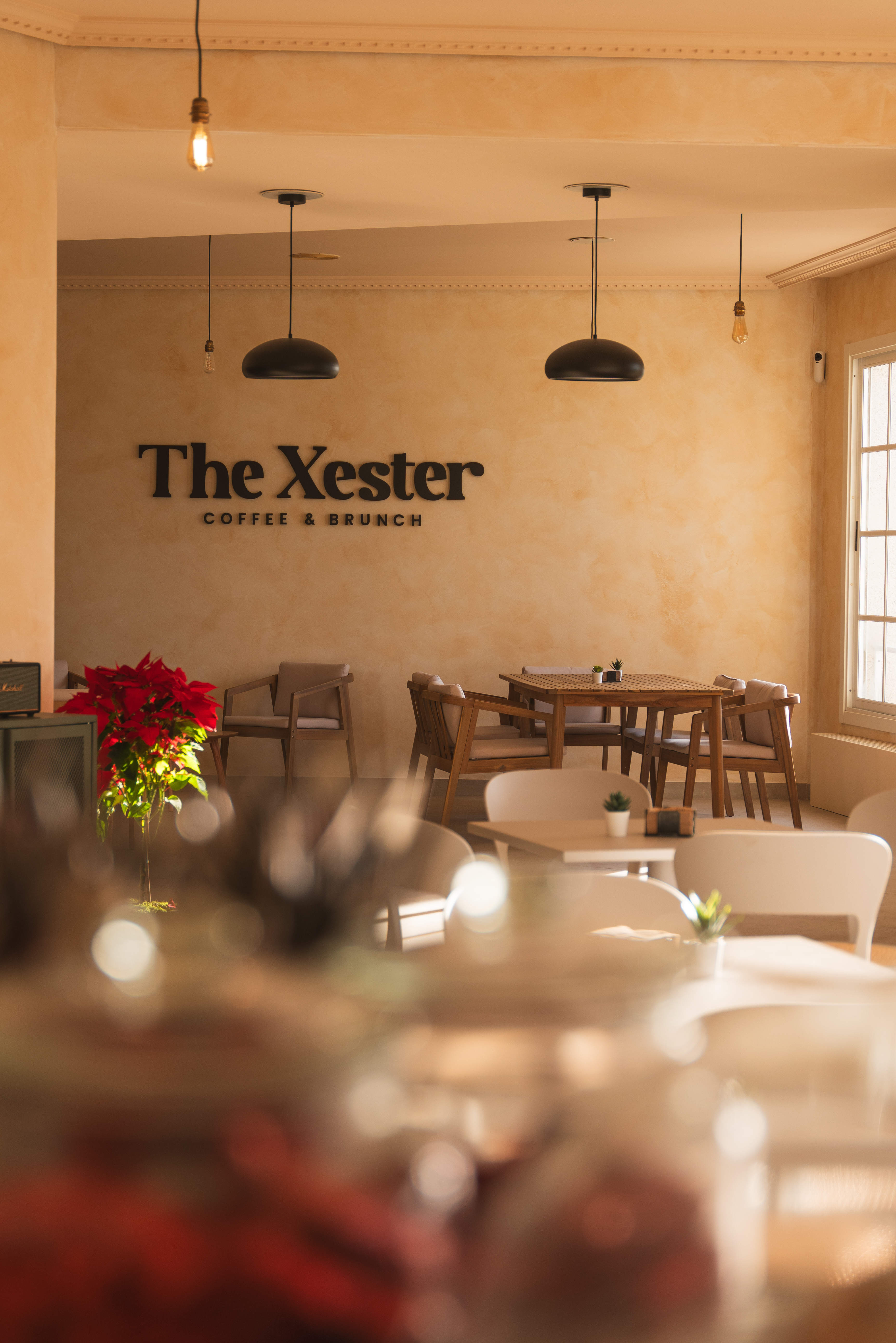 Interior The Xester